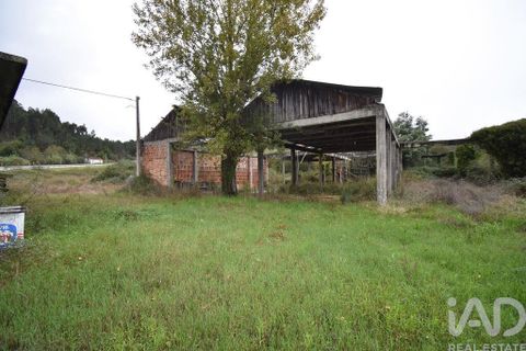 Terra a Miranda do Corvo, Coimbra, Miranda do Corvo - € 250.000 | Ref: 130392 - foto 13