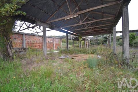 Terra a Miranda do Corvo, Coimbra, Miranda do Corvo - € 250.000 | Ref: 130392 - foto 14