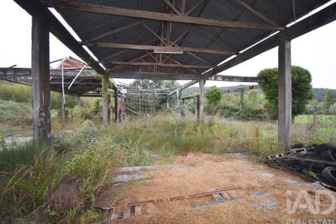 Terra a Miranda do Corvo, Coimbra, Miranda do Corvo - € 250.000 | Ref: 130392 - foto 15