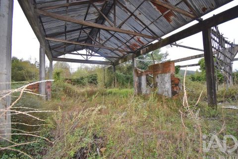 Terra a Miranda do Corvo, Coimbra, Miranda do Corvo - € 250.000 | Ref: 130392 - foto 16