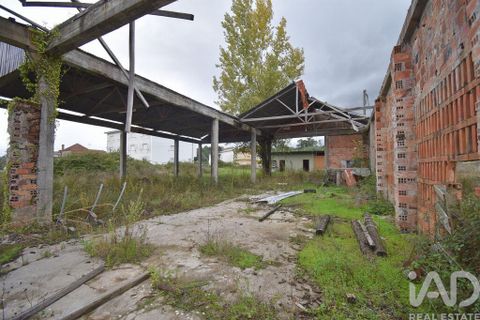Terra a Miranda do Corvo, Coimbra, Miranda do Corvo - € 250.000 | Ref: 130392 - foto 17