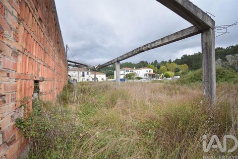 Terra a Miranda do Corvo, Coimbra, Miranda do Corvo - € 250.000 | Ref: 130392 - foto 18