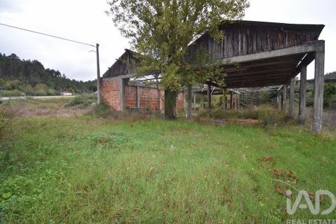 Terra a Miranda do Corvo, Coimbra, Miranda do Corvo - € 250.000 | Ref: 130392 - foto 20