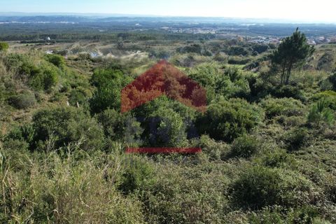 Helårsgrund i Santo Onofre e Serra do Bouro, Leiria, Santo Onofre e Serra do Bouro - € 100.000 | Ref: 150250360 - foto 3