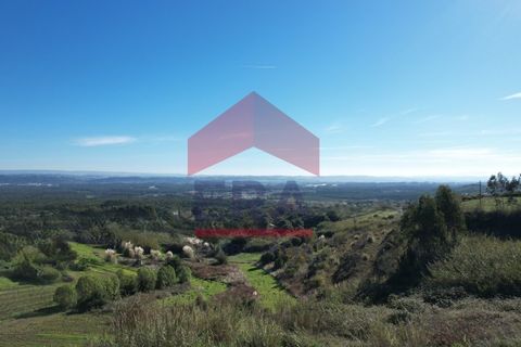 Helårsgrund i Santo Onofre e Serra do Bouro, Leiria, Santo Onofre e Serra do Bouro - € 100.000 | Ref: 150250360 - foto 4