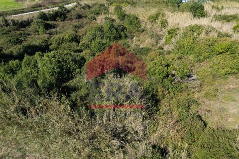 Helårsgrund i Santo Onofre e Serra do Bouro, Leiria, Santo Onofre e Serra do Bouro - € 100.000 | Ref: 150250360 - foto 5