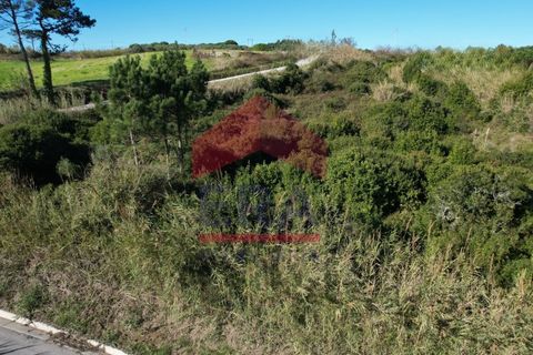 Helårsgrund i Santo Onofre e Serra do Bouro, Leiria, Santo Onofre e Serra do Bouro - € 100.000 | Ref: 150250360 - foto 6