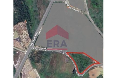 Helårsgrund i Santo Onofre e Serra do Bouro, Leiria, Santo Onofre e Serra do Bouro - € 100.000 | Ref: 150250360 - foto 7
