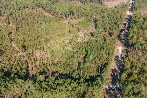 Terra a Cantanhede, Coimbra, Cantanhede - € 35.000 | Ref: LUX_CB-00746 - foto 4