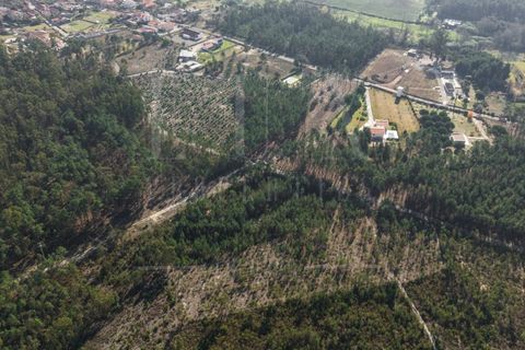 Terra a Cantanhede, Coimbra, Cantanhede - € 35.000 | Ref: LUX_CB-00746 - foto 15