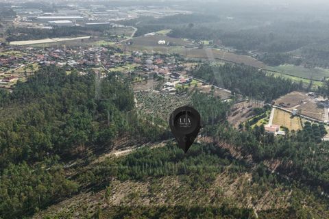 Terra a Cantanhede, Coimbra, Cantanhede - € 35.000 | Ref: LUX_CB-00746 - foto 17