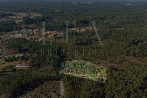 Terra a Cantanhede, Coimbra, Cantanhede - € 35.000 | Ref: LUX_CB-00746 - foto 19