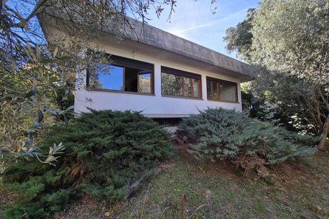 Leilighet i Massa Marittima, Grosseto, Massa Marittima - € 580 000 | Ref: a6621ra2527901a - foto 7