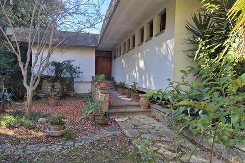 Leilighet i Massa Marittima, Grosseto, Massa Marittima - € 580 000 | Ref: a6621ra2527901a - foto 13