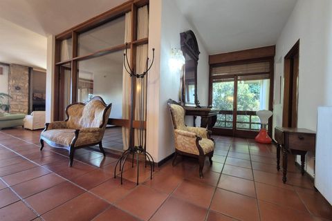 Leilighet i Massa Marittima, Grosseto, Massa Marittima - € 580 000 | Ref: a6621ra2527901a - foto 22