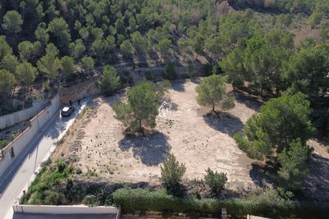 Terra a Orihuela, Alicante, Orihuela - € 342.000 | Ref: PAR001 - foto 2