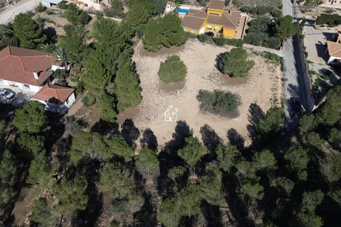 Terra a Orihuela, Alicante, Orihuela - € 342.000 | Ref: PAR001 - foto 4