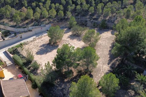 Terra a Orihuela, Alicante, Orihuela - € 342.000 | Ref: PAR001 - foto 8