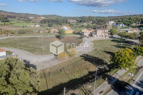 Terra a Santarem, Santarem, Santarem - € 22.500 | Ref: FR943 - foto 15