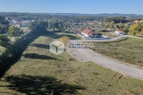 Terra a Santarem, Santarem, Santarem - € 22.500 | Ref: FR943 - foto 18