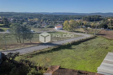 Terra a Santarem, Santarem, Santarem - € 22.500 | Ref: FR943 - foto 20