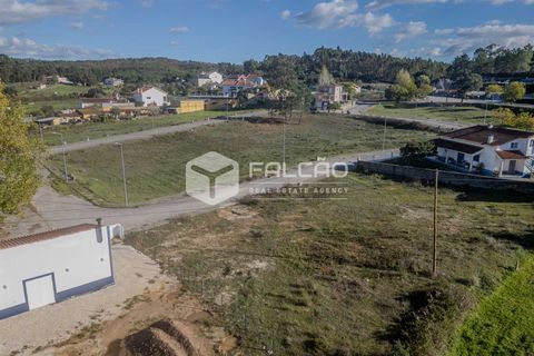Terra a Santarem, Santarem, Santarem - € 22.500 | Ref: FR943 - foto 21