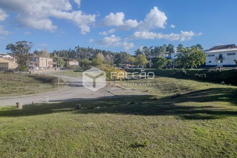 Terra a Santarem, Santarem, Santarem - € 22.500 | Ref: FR943 - foto 23