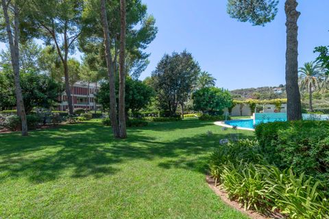 Penthouse i Bendinat, Mallorca, Bendinat - € 2.250.000 | Ref: FALC-Nep-62998 - foto 29