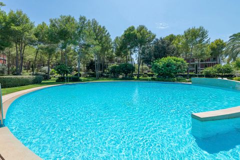 Penthouse i Bendinat, Mallorca, Bendinat - € 2.250.000 | Ref: FALC-Nep-62998 - foto 30