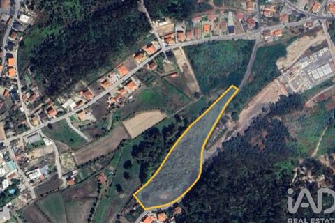 Terra a Lousada, Porto, Lousada - € 495.000 | Ref: 769854 - foto 2