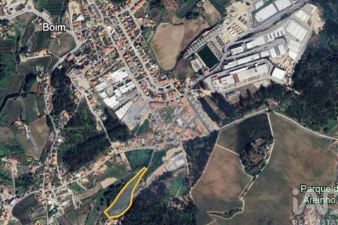 Terra a Lousada, Porto, Lousada - € 495.000 | Ref: 769854 - foto 10