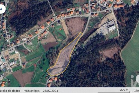 Terra a Lousada, Porto, Lousada - € 495.000 | Ref: 769854 - foto 11