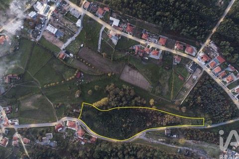 Terra a Lousada, Porto, Lousada - € 495.000 | Ref: 769854 - foto 12