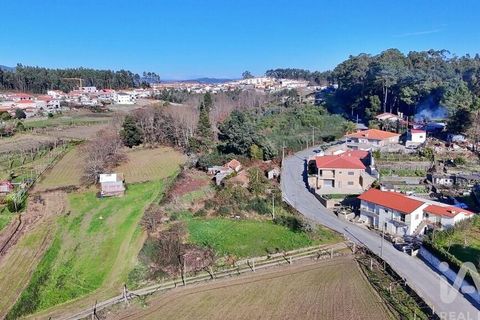 Terra a Lousada, Porto, Lousada - € 495.000 | Ref: 769854 - foto 4