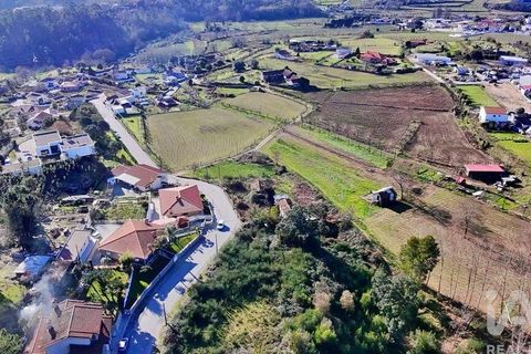 Terra a Lousada, Porto, Lousada - € 495.000 | Ref: 769854 - foto 5