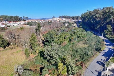 Terra a Lousada, Porto, Lousada - € 495.000 | Ref: 769854 - foto 6