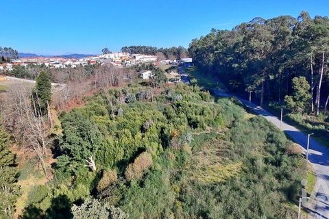 Terra a Lousada, Porto, Lousada - € 495.000 | Ref: 769854 - foto 7