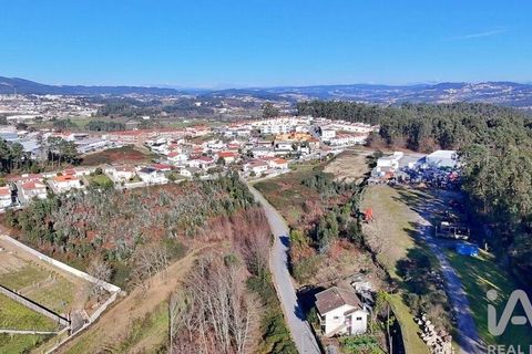 Terra a Lousada, Porto, Lousada - € 495.000 | Ref: 769854 - foto 8