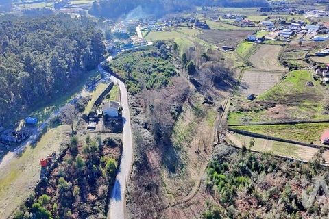 Terra a Lousada, Porto, Lousada - € 495.000 | Ref: 769854 - foto 9