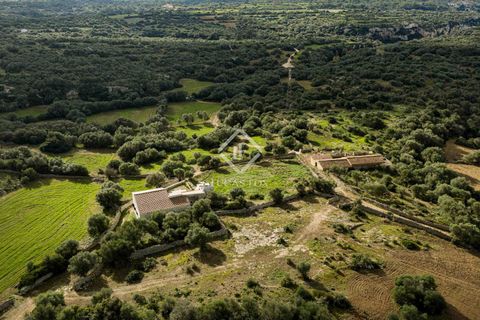 Landejendom i Ferreries, Menorca, Ferreries - € 1.900.000 | Ref: MEN64727 - foto 5