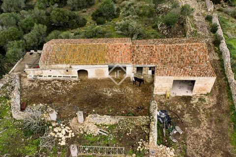 Landejendom i Ferreries, Menorca, Ferreries - € 1.900.000 | Ref: MEN64727 - foto 10