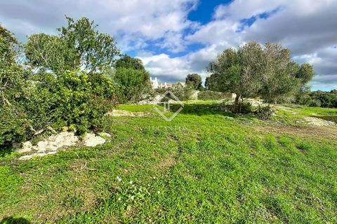 Landejendom i Ferreries, Menorca, Ferreries - € 1.900.000 | Ref: MEN64727 - foto 11