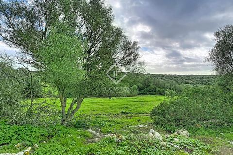 Landejendom i Ferreries, Menorca, Ferreries - € 1.900.000 | Ref: MEN64727 - foto 15