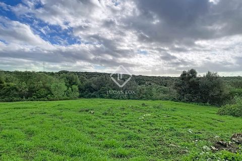 Landejendom i Ferreries, Menorca, Ferreries - € 1.900.000 | Ref: MEN64727 - foto 16