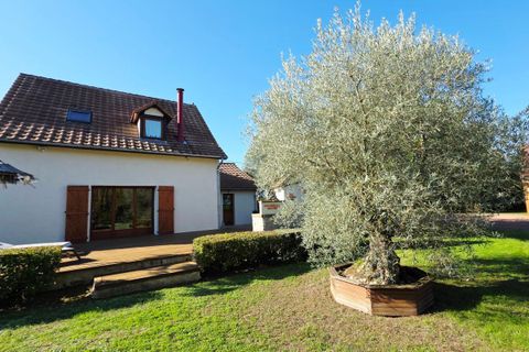 Villa i Civray, Cher, Civray - € 281.500 | Ref: 623509COS - foto 3