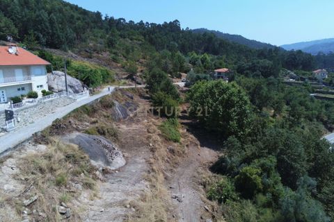 Helårsgrund i Parada do Bouro, Braga, Parada do Bouro - € 55.000 | Ref: C0256-03178 - foto 21