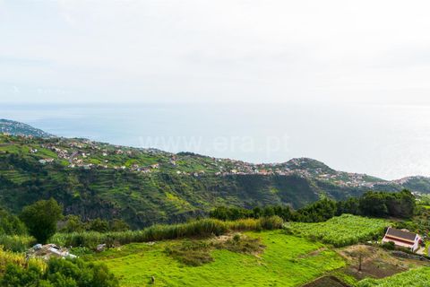 Helårsgrund i Ponta do Sol, Madeira, Ponta do Sol - € 75.000 | Ref: 081250301 - foto 1