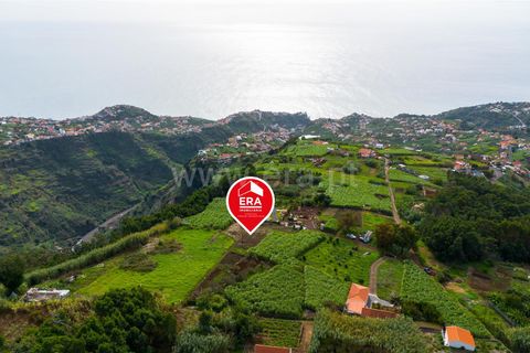 Helårsgrund i Ponta do Sol, Madeira, Ponta do Sol - € 75.000 | Ref: 081250301 - foto 3
