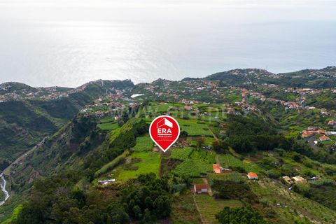 Helårsgrund i Ponta do Sol, Madeira, Ponta do Sol - € 75.000 | Ref: 081250301 - foto 5