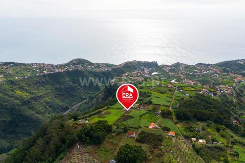 Helårsgrund i Ponta do Sol, Madeira, Ponta do Sol - € 75.000 | Ref: 081250301 - foto 6